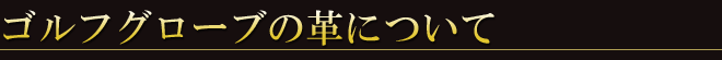 アスキューで取り扱っている革について
