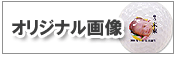 オリジナル画像